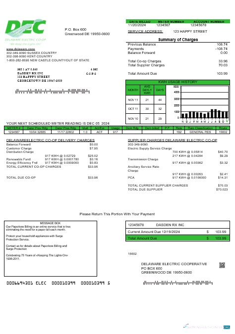 USA Delaware Electric Co op business utility bill template in Word and PDF formats